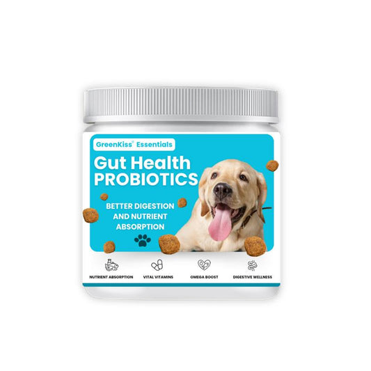 Gut Health Probiotics